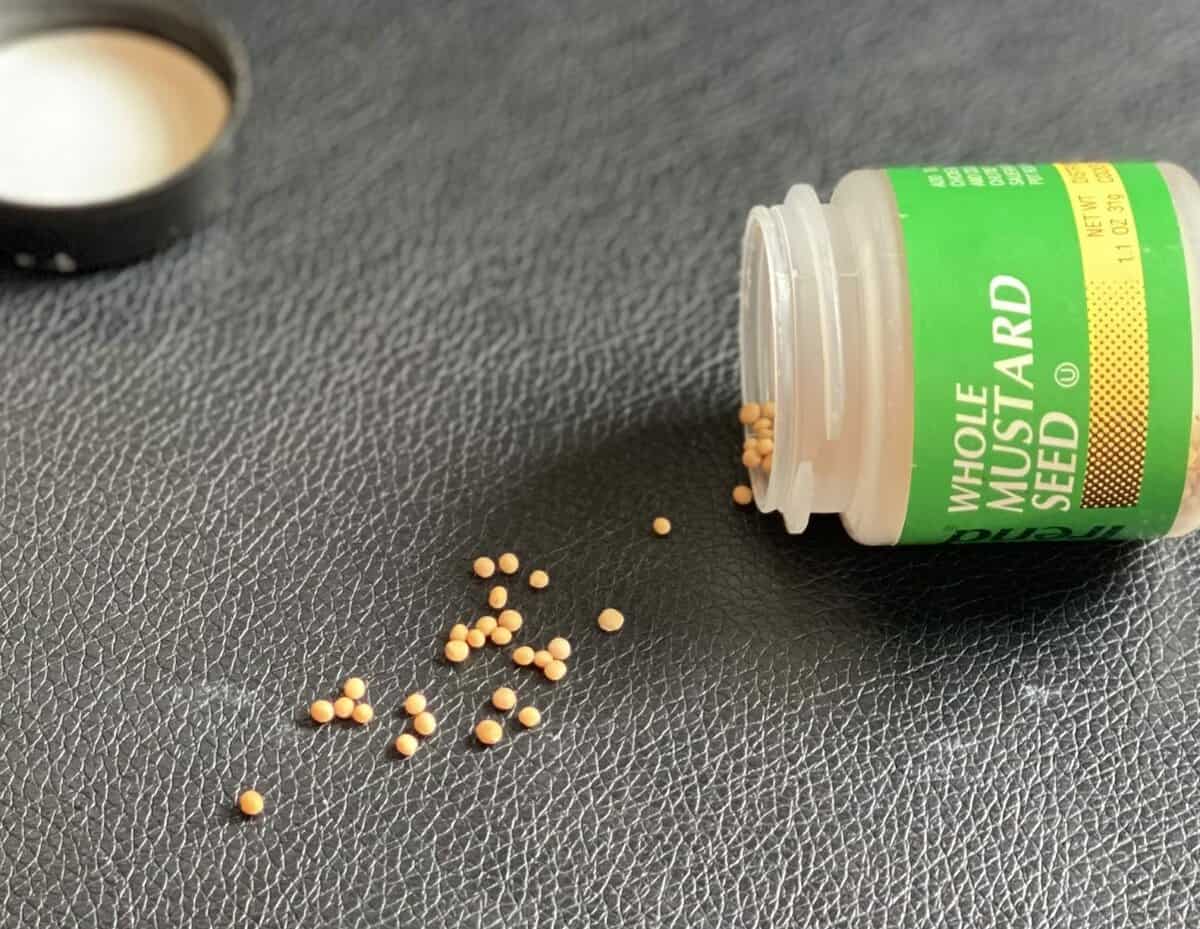 Mustard Seed Faith Graceful Days Farm